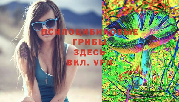 винт Богородск
